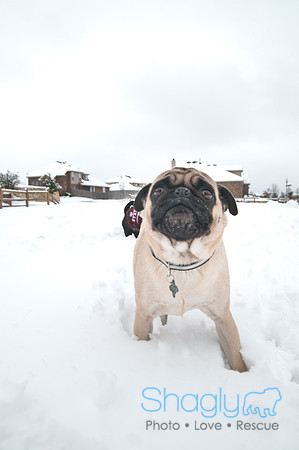 Snow Day-1228
