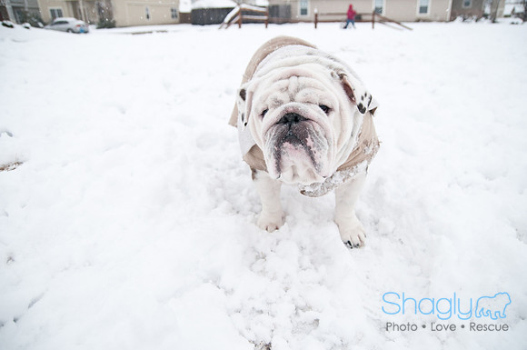 Snow Day-1098