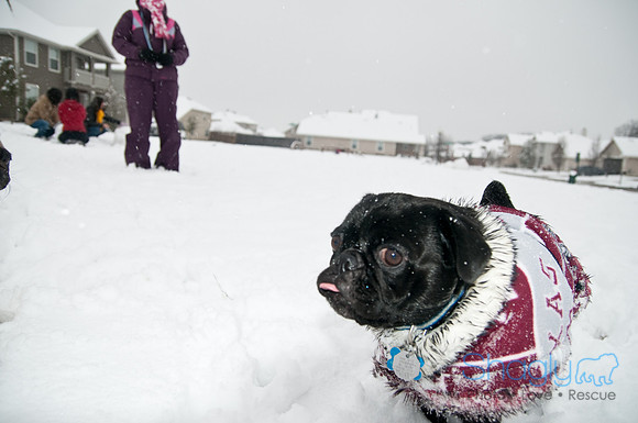 Snow Day-1018