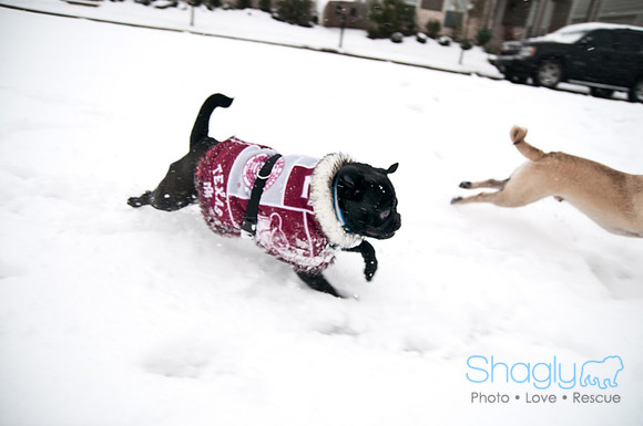 Snow Day-0971