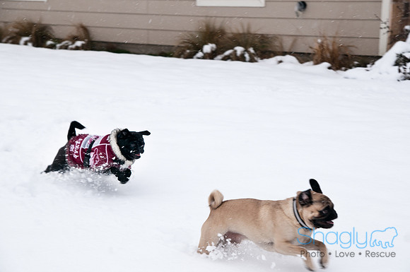 Snow Day-0887