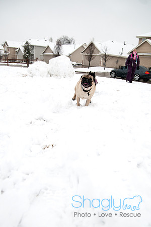 Snow Day-0949