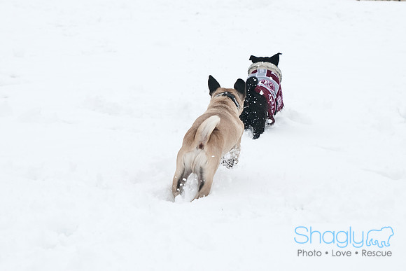 Snow Day-1221