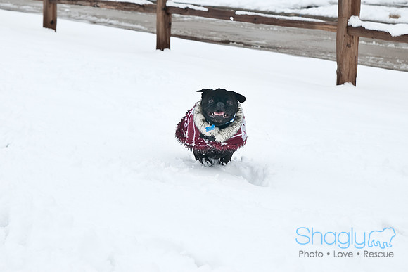 Snow Day-1201
