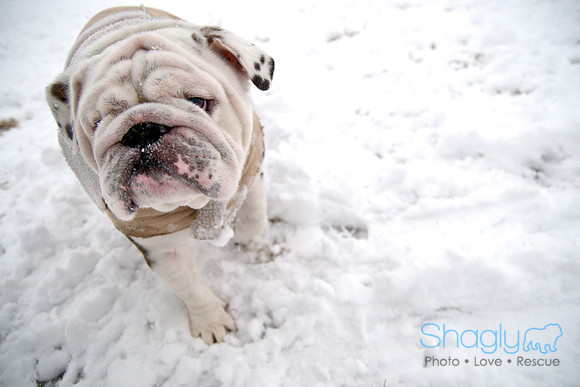 Snow Day-0984