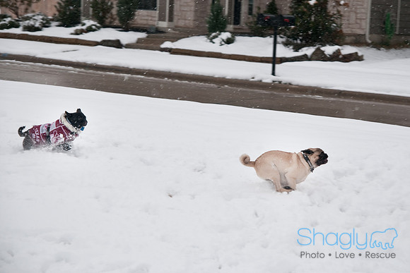 Snow Day-1012