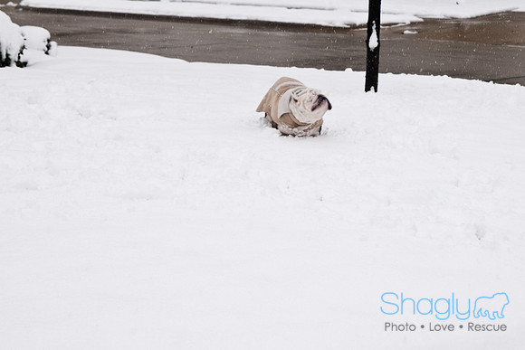 Snow Day-0901
