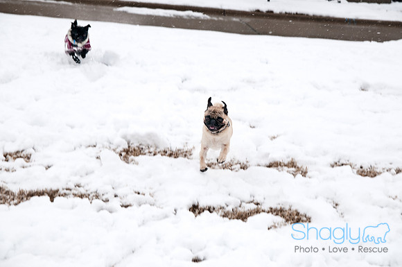 Snow Day-0911