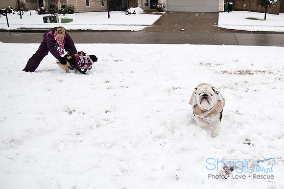 Snow Day-0973