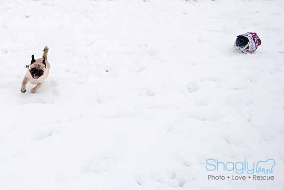 Snow Day-1010
