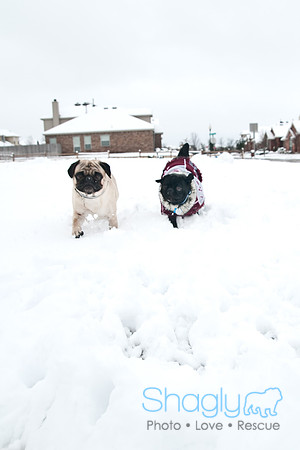 Snow Day-1238