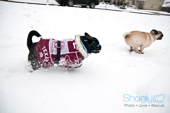 Snow Day-0972