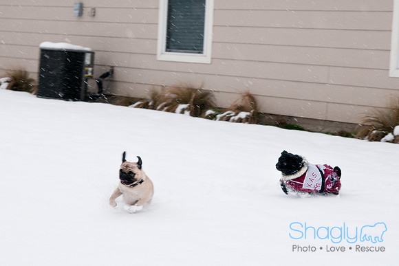 Snow Day-0884