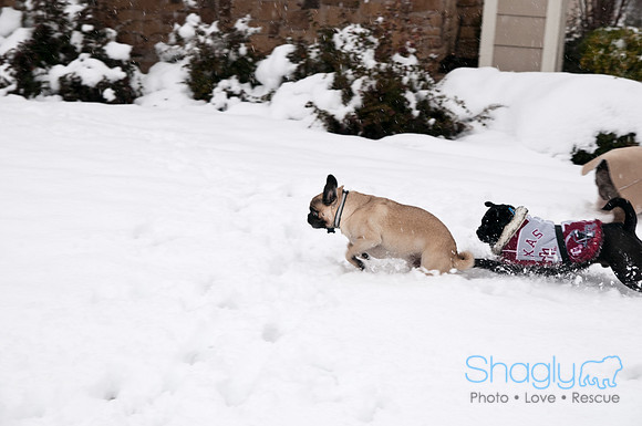 Snow Day-0895