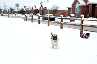 Snow Day-1196