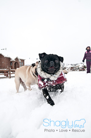 Snow Day-1277