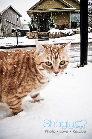 Snow Day-0858