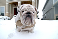 Snow Day-1162