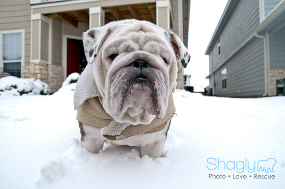 Snow Day-1162