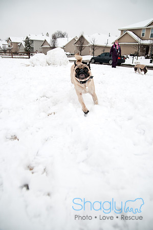 Snow Day-0950