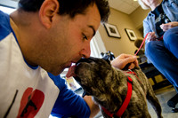 Sir Lancelot the Pug-12