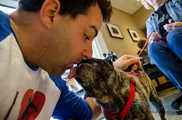 Sir Lancelot the Pug-12