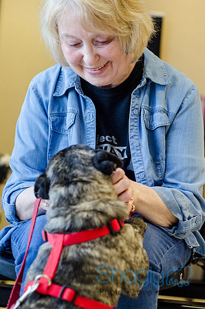 Sir Lancelot the Pug-17
