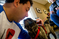 Sir Lancelot the Pug-13
