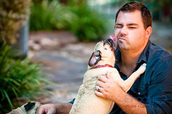 Pug Palace-3
