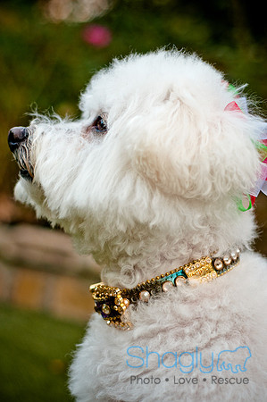 Maggie Mae and Tess-64