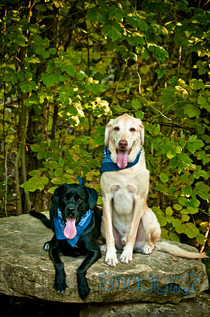 Mavrick and Jetta-19