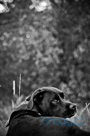 Mavrick and Jetta-97