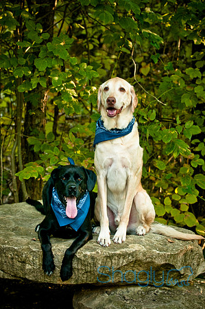 Mavrick and Jetta-21