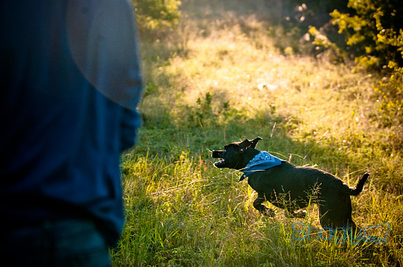 Mavrick and Jetta-29