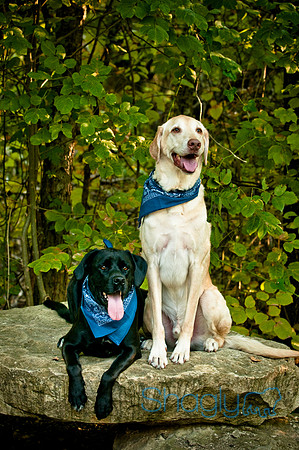 Mavrick and Jetta-22