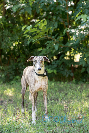 Margo