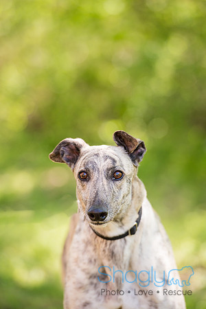Gracie