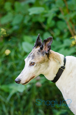 Juno