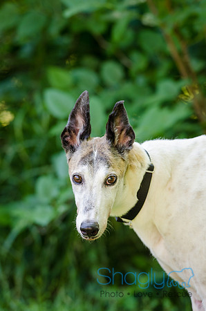 Juno