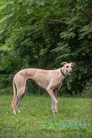 Cal