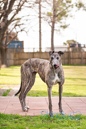 Delilah