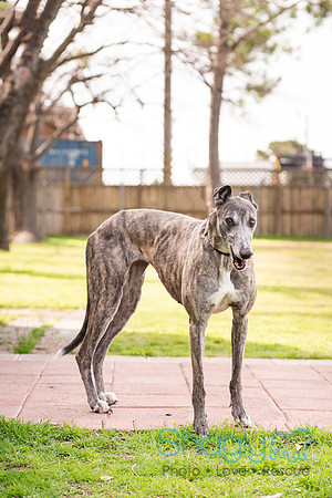 Delilah