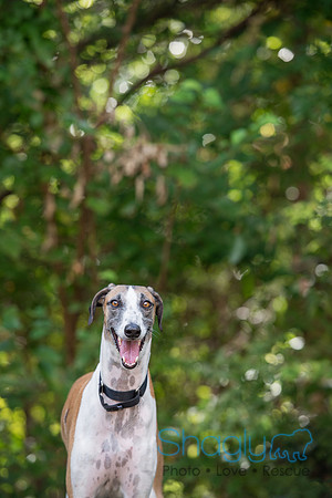 Duke