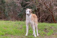 Odin