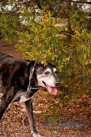 Jake-13