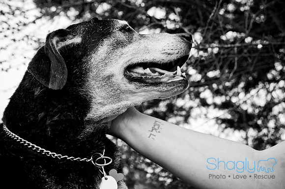 Jake-29