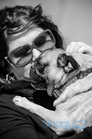 Pug Play Date-22