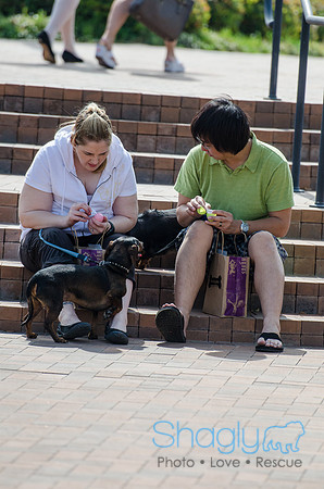Easter Beg Hunt 2012-215