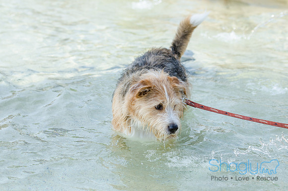 Easter Beg Hunt 2012-213
