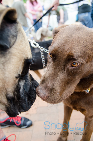 Easter Beg Hunt 2012-117